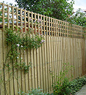 Featherboard panel fence with trellis top