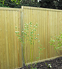 Jacksons tongue and groove panel fence