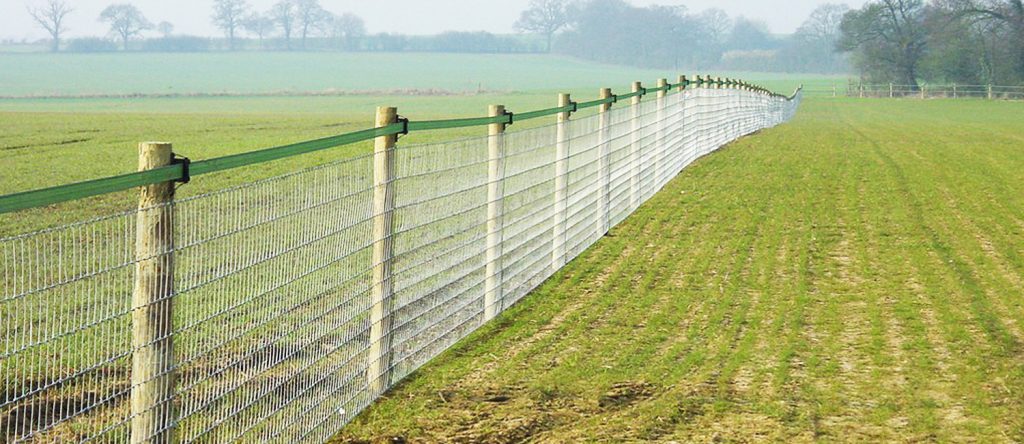 Agricultural Fencing