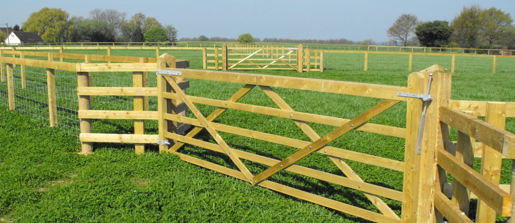 Horse Paddock Fencing