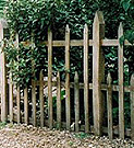 Oak palisade fence