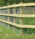 Square posts with three rails and rabbit wire dug in.