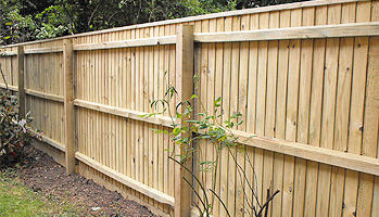 Standard Wooden Panel Fence