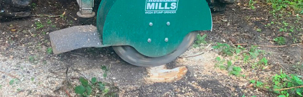 Stump Grinding